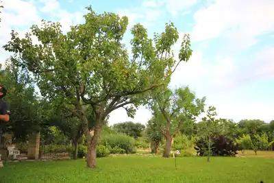 Image de Villa Diana - Appartement A