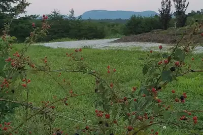 Image de La cabane verte à Luna's Trail