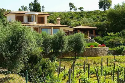 Image de Uva & Stelle Maison