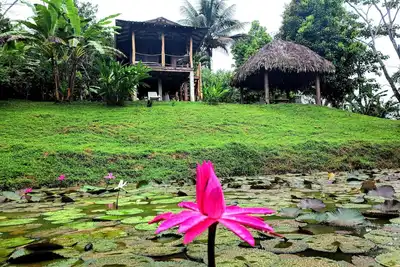 Image de Nature Lovers Cabin by Bluff Beach, beau jardin avec étang et faune!