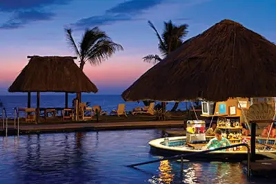 Image de Tortues de mer, poissons tropicaux, beau corail!