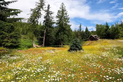 Image de Blueberry Springs sur le lac Shuswap. \"Evasion vers la nature\"