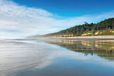 Image de Visitez le magnifique parc d'État et refuge faunique de Leadbetter Point!