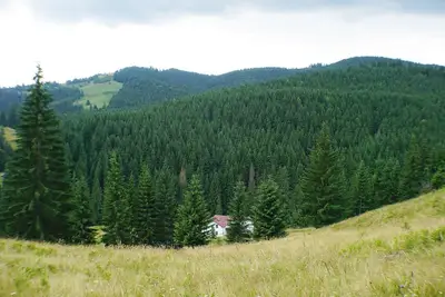 Image de Rija Land, une retraite rurale dans les montagnes de Bucovine