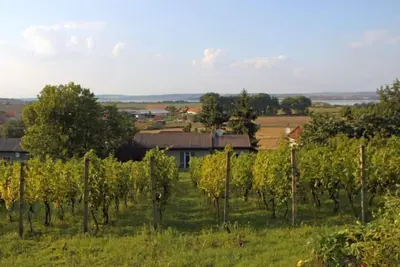 Image de Milovice by Interhome