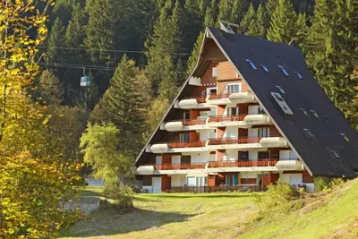 Image de Anémone 2/16 by Interhome