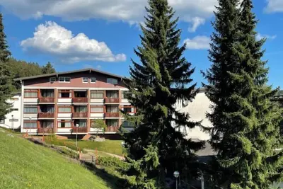 Image de Schöne Aussicht (App 1406 / Ex-Kurhotel) by Interhome
