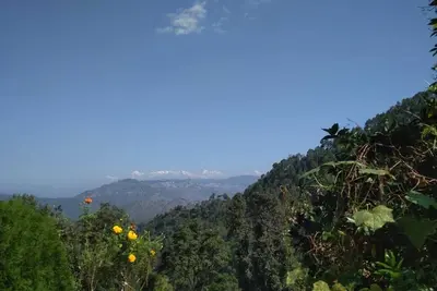 Image de Vue himalayenne, matin gazouillée