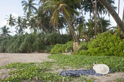 Image de Villa en bord de mer avec piscine et personnel complet