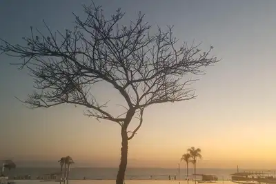 Image de Proche de la plage - Nouvelle inscription