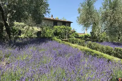 Image de Maison de vacances privée avec piscine privée, Wifi, Tv, patio, vue panoramique, près de Lucques