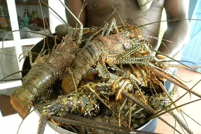 Image de Bienvenue chez nous welcome