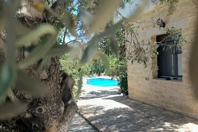 Image de Situé au calme au milieu de vieux oliviers avec piscine privée et jardin!