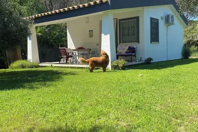 Image de Villino Vita. Indépendant avec jardin à 2 pas de la mer