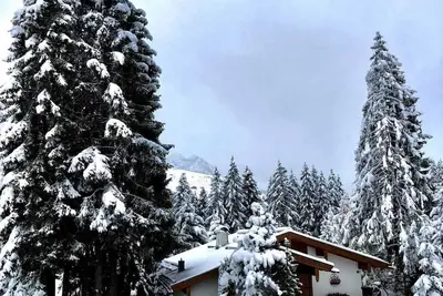 Image de Appartement idyllique à Königsleiten, situé au centre près de l'ascenseur