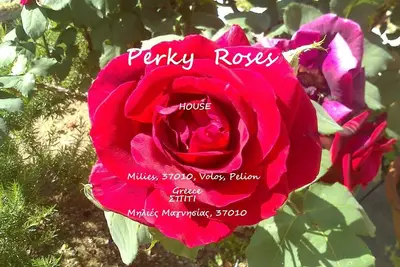 Image de Perky Roses, * Maison *, 37010 Milies Pelion, Grèce, Maison