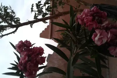 Beautiful authentic riad a mhamid elghizlan