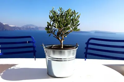 Image de À couper le souffle Vue sur la Caldeira, grand confort, romantique et entièrement remanié.