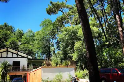 Image de Charmant T2  jardin arboré parking, proche des plages et golf.