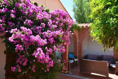 Image de Maison Andalouse - 2 minutes a pied de la plage - 1 place de parking - Wifi