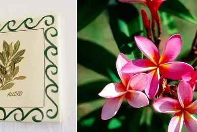 Image de - La Cour De Trulli - \"Villa Alloro\"