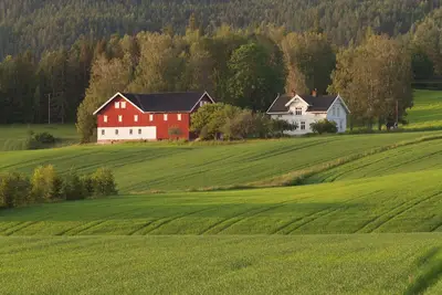 Image de Farmhouse from the turn of the century with wood fired pizza oven