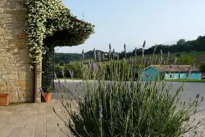 Image de Votre maison de campagne avec piscine dans le vert