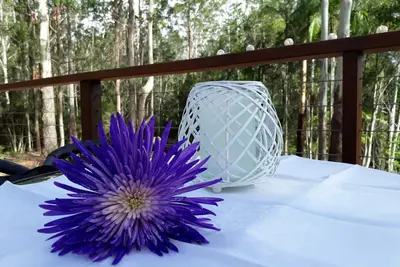 Image de Studio @ Lp Montville