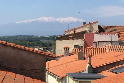 Image de Charmante maison dans le centre historique d'Elne avec vue
