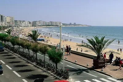 Image de Arago Maison avec 4 /5 étoiles vue mer latérale du balcon 200m mer et commerces