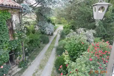 Image de Mamota, une oasis dans les Langhe.
