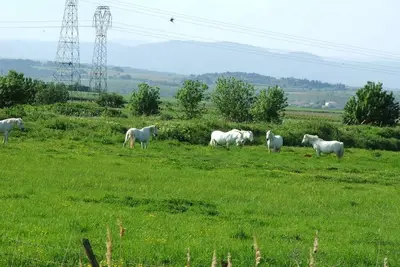 Image de maison de campagne  9 personnes avec petit spa