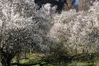 Image de Idéal pour les familles et les amis, avec de grands espaces et beaucoup de lumière et très confortable.