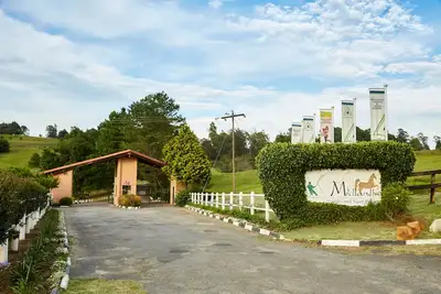 Image de First Group Midlands Saddle and Trout