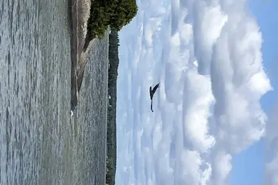 Image de Expérience de pêche canadienne rustique