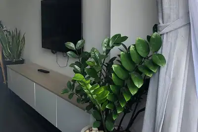 Image de Somnus Beachfront Apartment Nha Trang