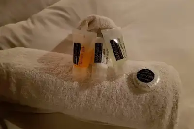 Image de Hébergement luxueux dans la brousse