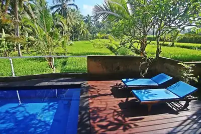 Image de Villa 1 chambre avec vue sur les rizières à Ubud # 3