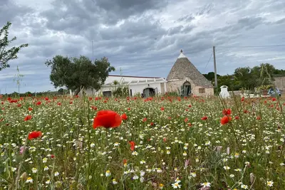 Image de Trullo le Zippo à Zippitello