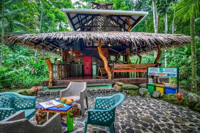 Image de The Dream Palm House