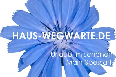 Image de Vacances dans le magnifique Main-Spessart - repos et détente dans un grand appartement