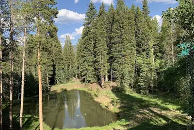 Daily Wildlife - Bear, Moose, Deer - 3br/3ba - Ski In / Ski Out - Early Checkin