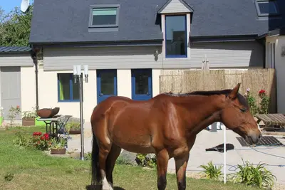 Image de Le Triskel - maisonette pour 4 personnes à proximité de la plage