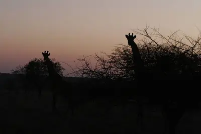 Image de Waterberg Travelcation - Escapade dans la nature