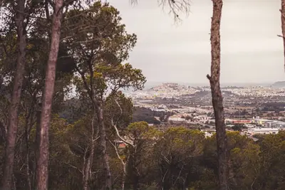 Image de Superbe villa située totalement privée près de la ville d'Ibiza