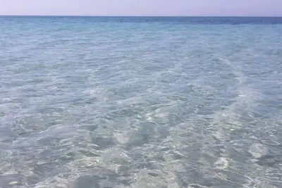 Image de Maison Proche De La Mer Avec Vue Imprenable Sur La Mer Et La Cote