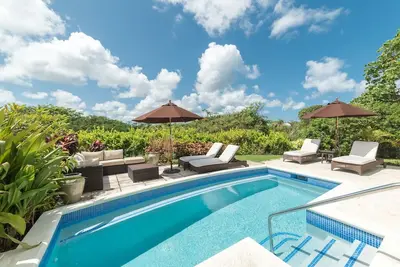 Image de Exquis - canne à sucre crête 23