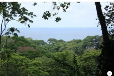 Image de Paradis naturel avec vue sur l'océan romantique