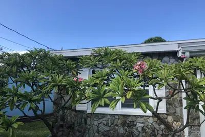 Image de À venir en novembre! Marchez jusqu'à la plage d'Indian Rocks!
