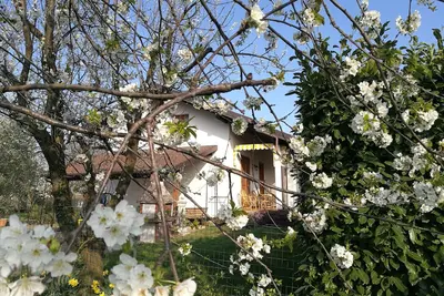 Image de Hébergement dans un charmant chalet à Giaveno